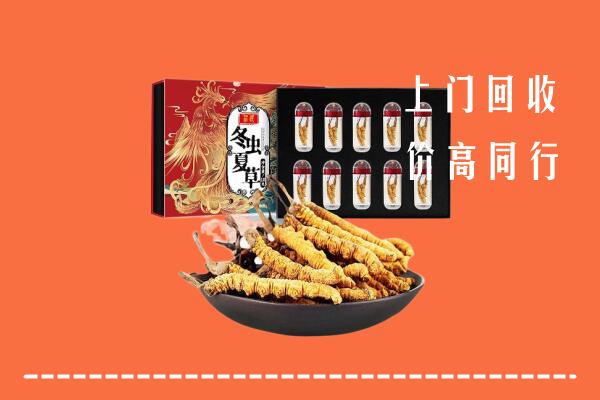 中山古镇镇回收虫草